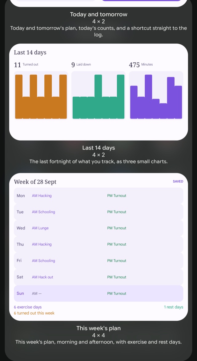 The same list further down, with Last 14 days and This week's plan at 4 by 4, a made-up week of hacking, schooling and turnout