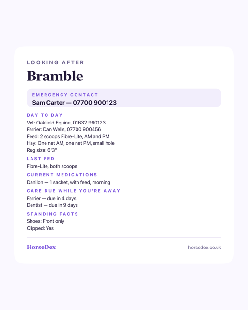 The holiday cover sheet as a shared picture: Looking after Bramble, an emergency contact box, then day-to-day details, last fed, current medications, care due while you're away and standing facts